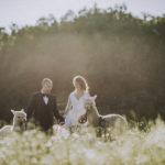 Servizio fotografico matrimonio Mugello con Alpaca