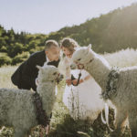 Servizio fotografico matrimonio Mugello con Alpaca