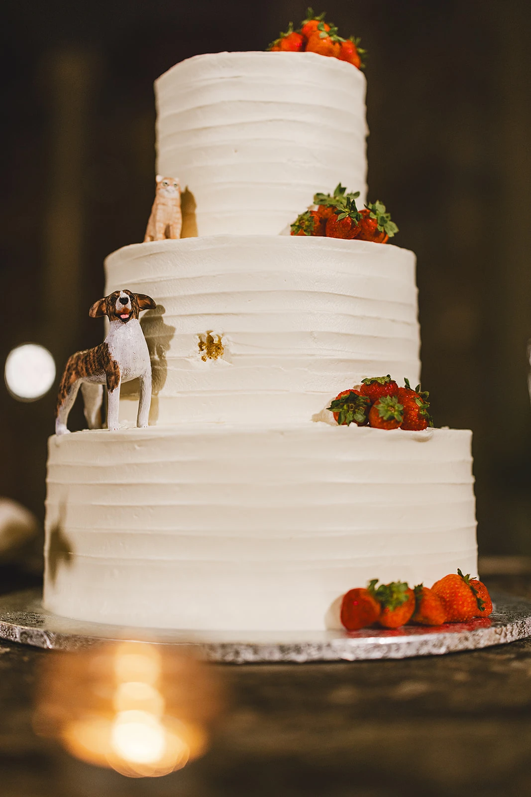 Torta di matrimonio personalizzata con il cane e il gatto degli sposi, a cura di Carta Zucchero