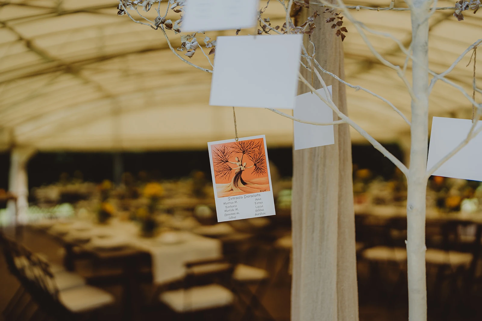 tableau de mariage su un albero ideato e realizzato da Ilaria euphoria events wedding planner toscana